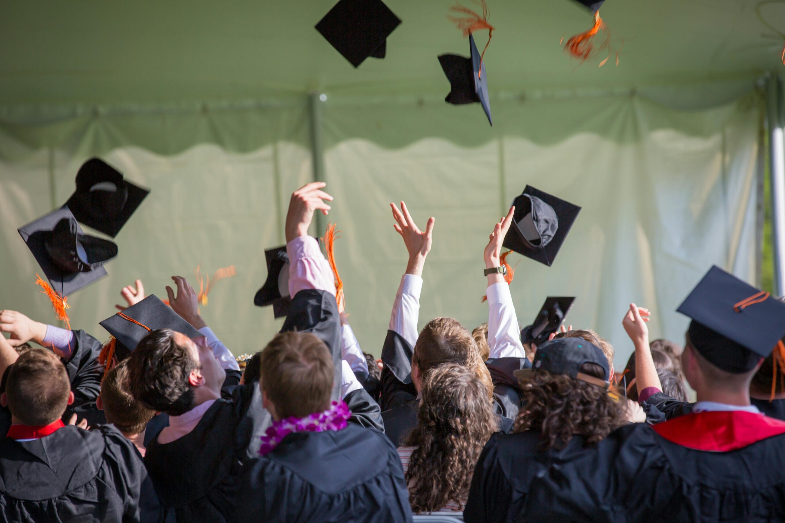 private universities in berlin