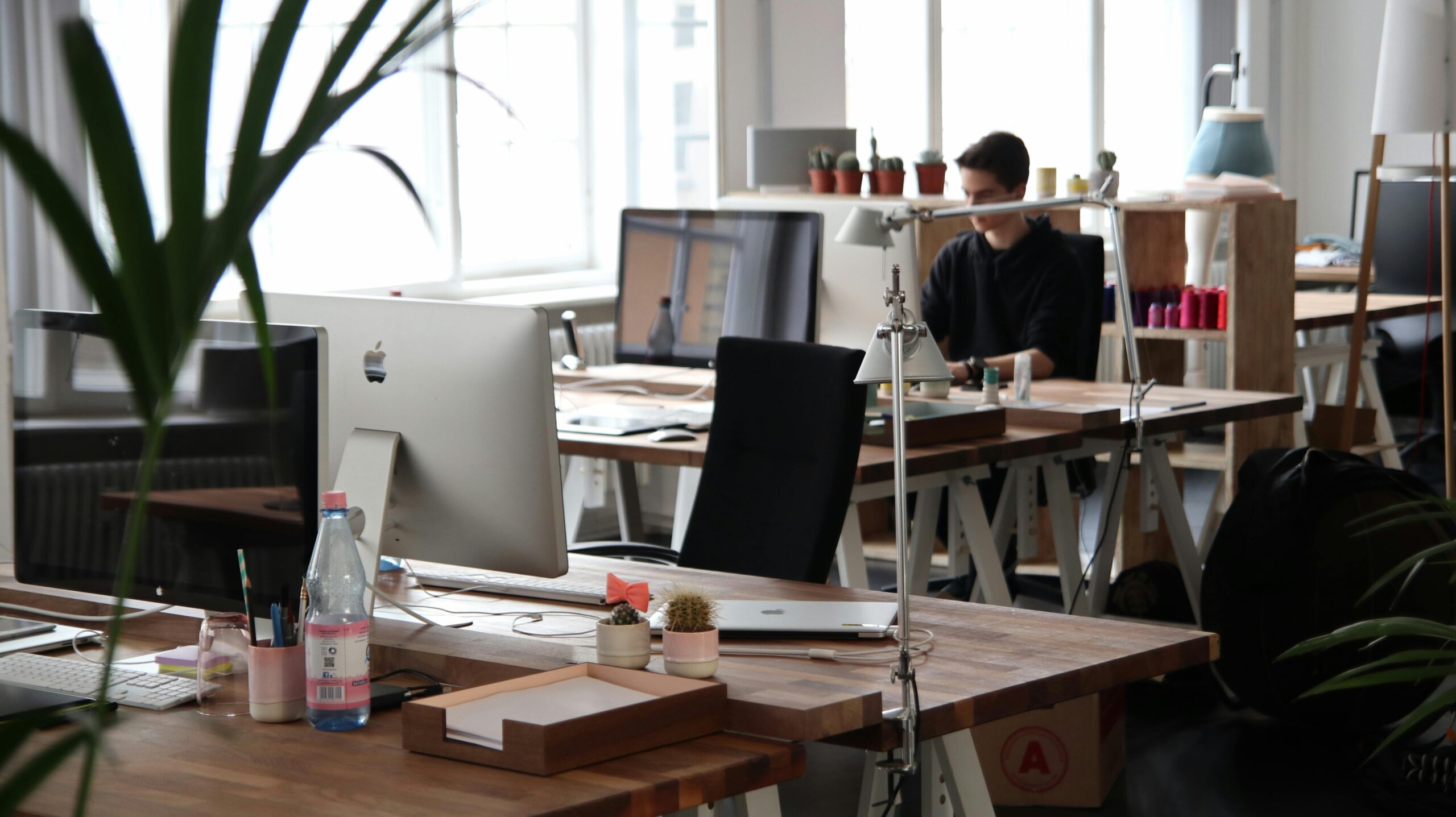 Berlin School of Business and Innovation BSBI
